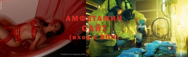 стаф Алзамай