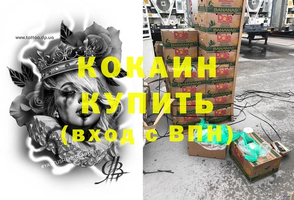 стаф Алзамай