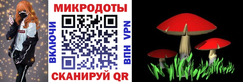 сколько стоит Ростов-на-Дону Галлюциногенные грибы MAGIC MUSHROOMS