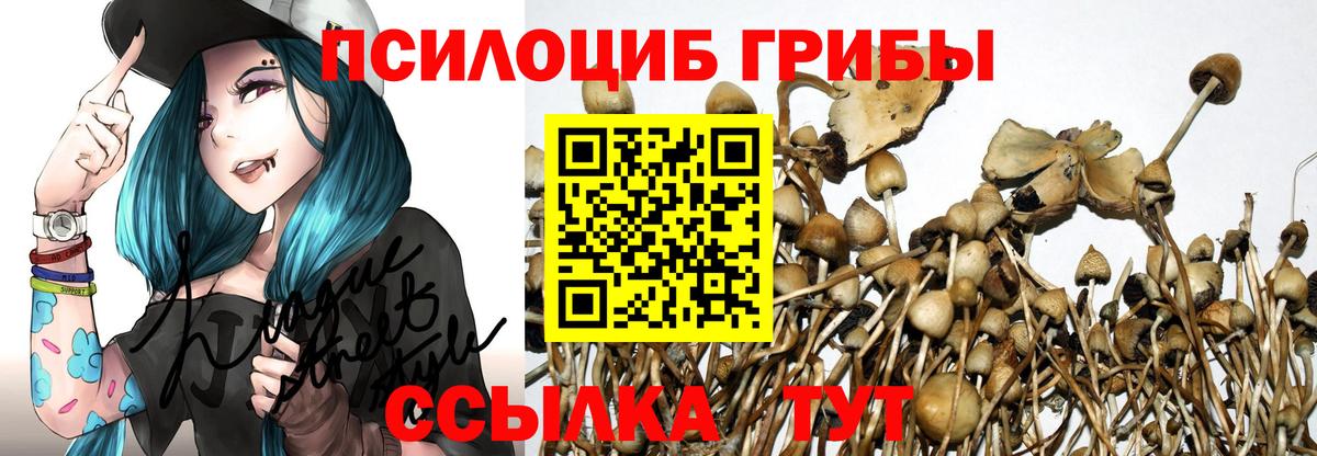 Галлюциногенные грибы ЛСД  Вход с VPN  Ростов-на-Дону 